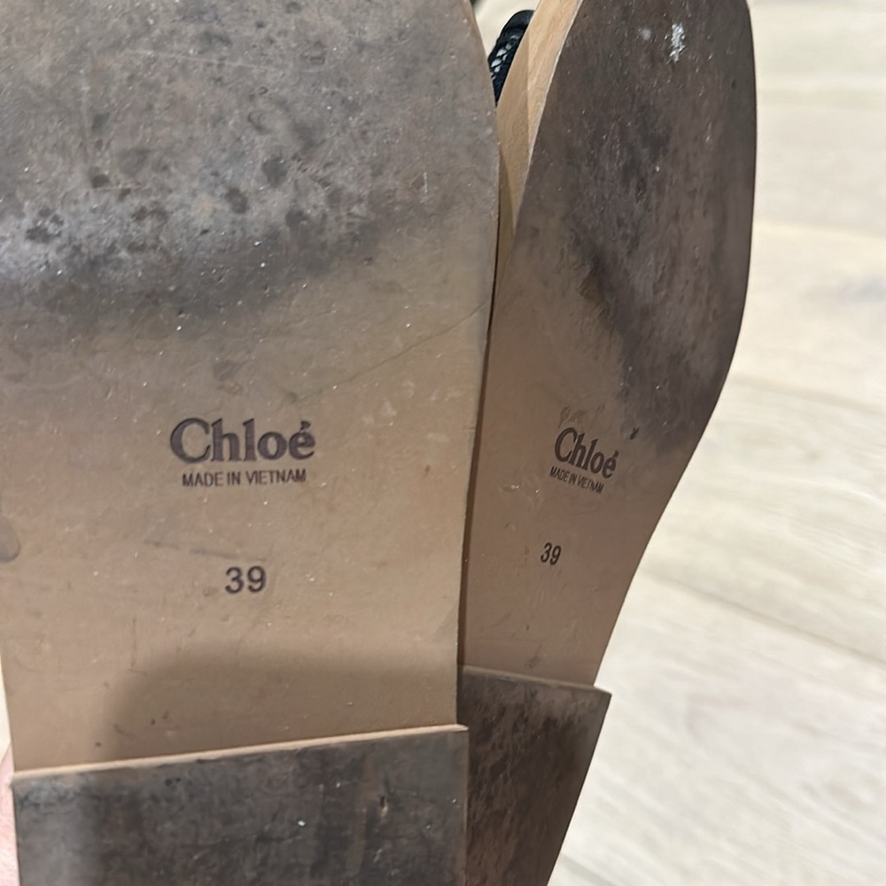 Chloe - Picture 5 of 5